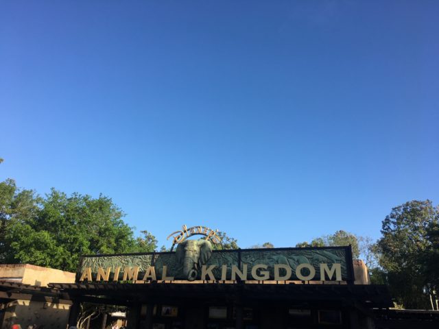 Exploring Walt Disney World, Florida “Animal Kingdom”